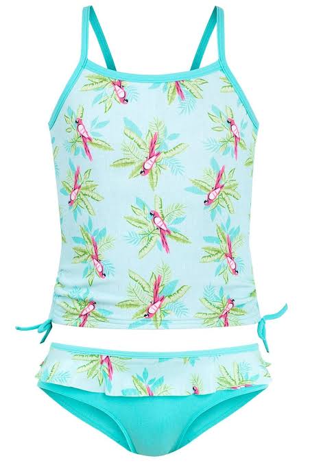 Escargot Parrot Blue Collection